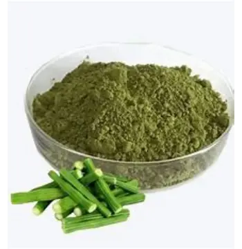 Fresh Drumstick Powder
